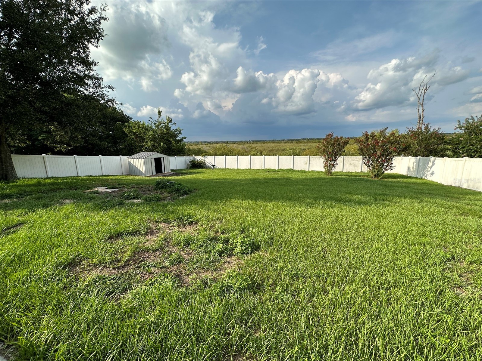9830 Water Fern Circle Clermont FL 34711 O6382423 image29