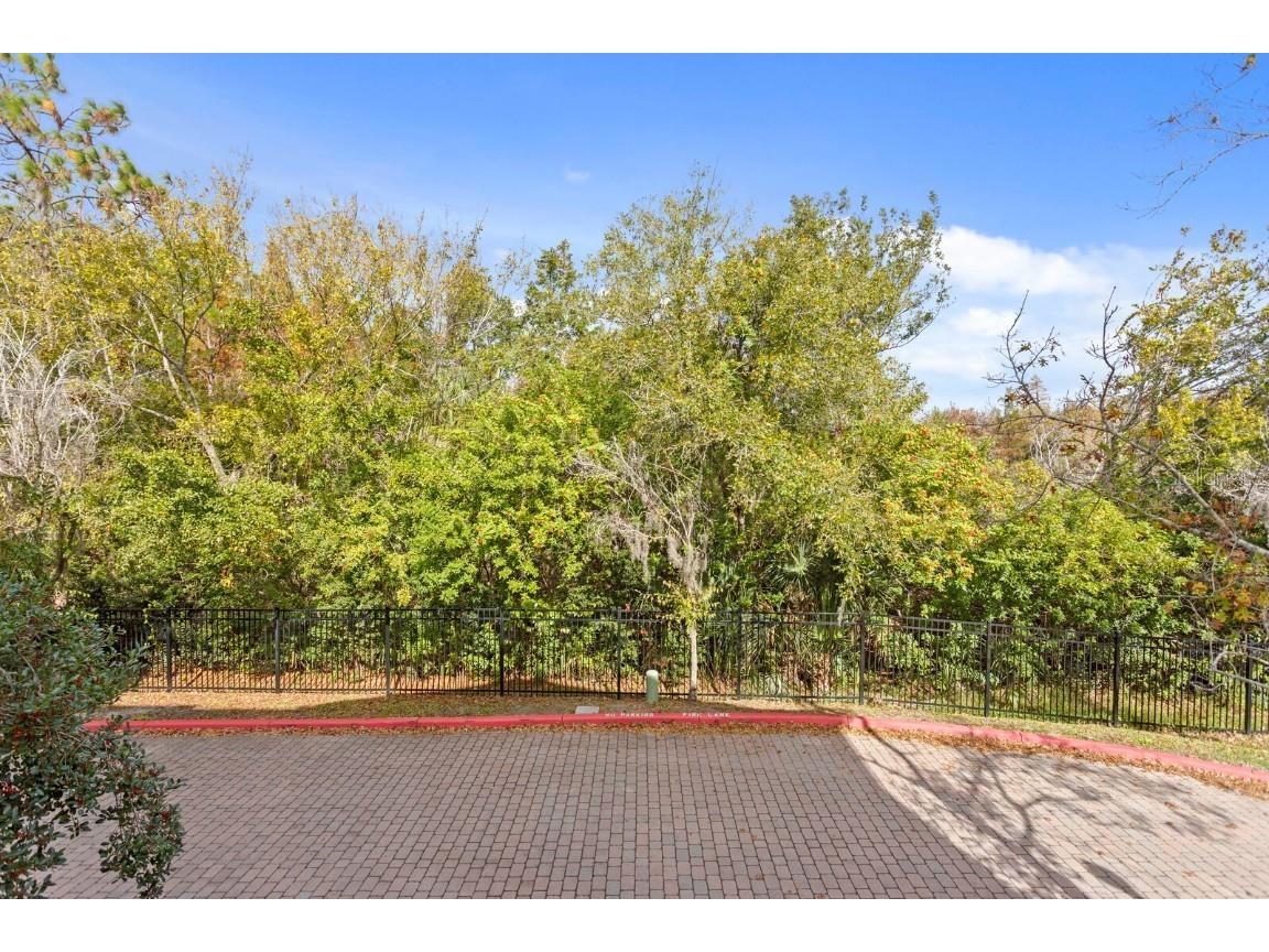 9831 Meadow Field Circle #9831 Tampa FL 33626 TB8454687 image20