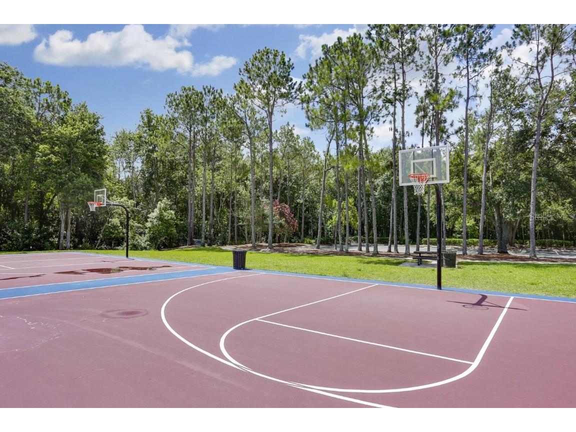 9831 Meadow Field Circle #9831 Tampa FL 33626 TB8454687 image30