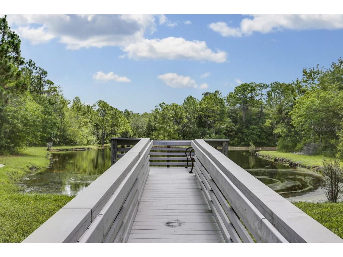 9831 Meadow Field Circle #9831 Tampa FL 33626 TB8454687 image31