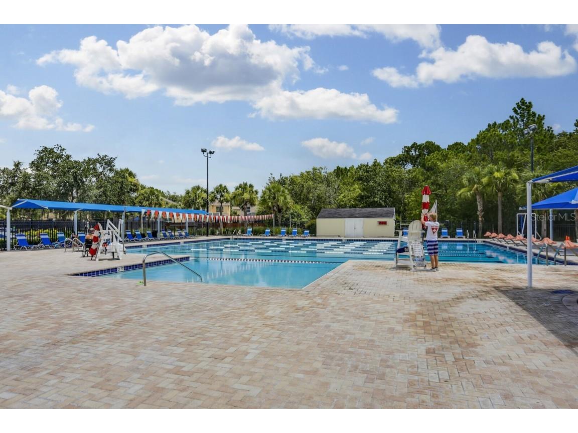 9831 Meadow Field Circle #9831 Tampa FL 33626 TB8454687 image35
