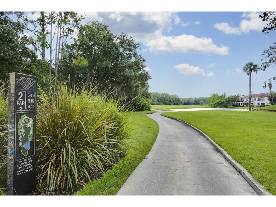 9831 Meadow Field Circle #9831 Tampa FL 33626 TB8454687 image38