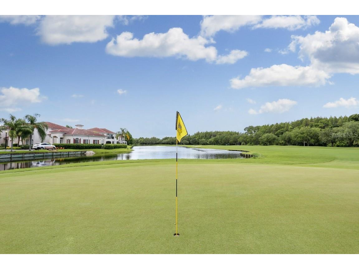 9831 Meadow Field Circle #9831 Tampa FL 33626 TB8454687 image40