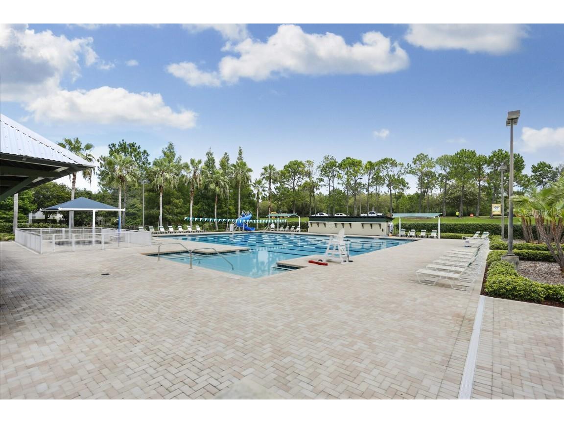 9831 Meadow Field Circle #9831 Tampa FL 33626 TB8454687 image41