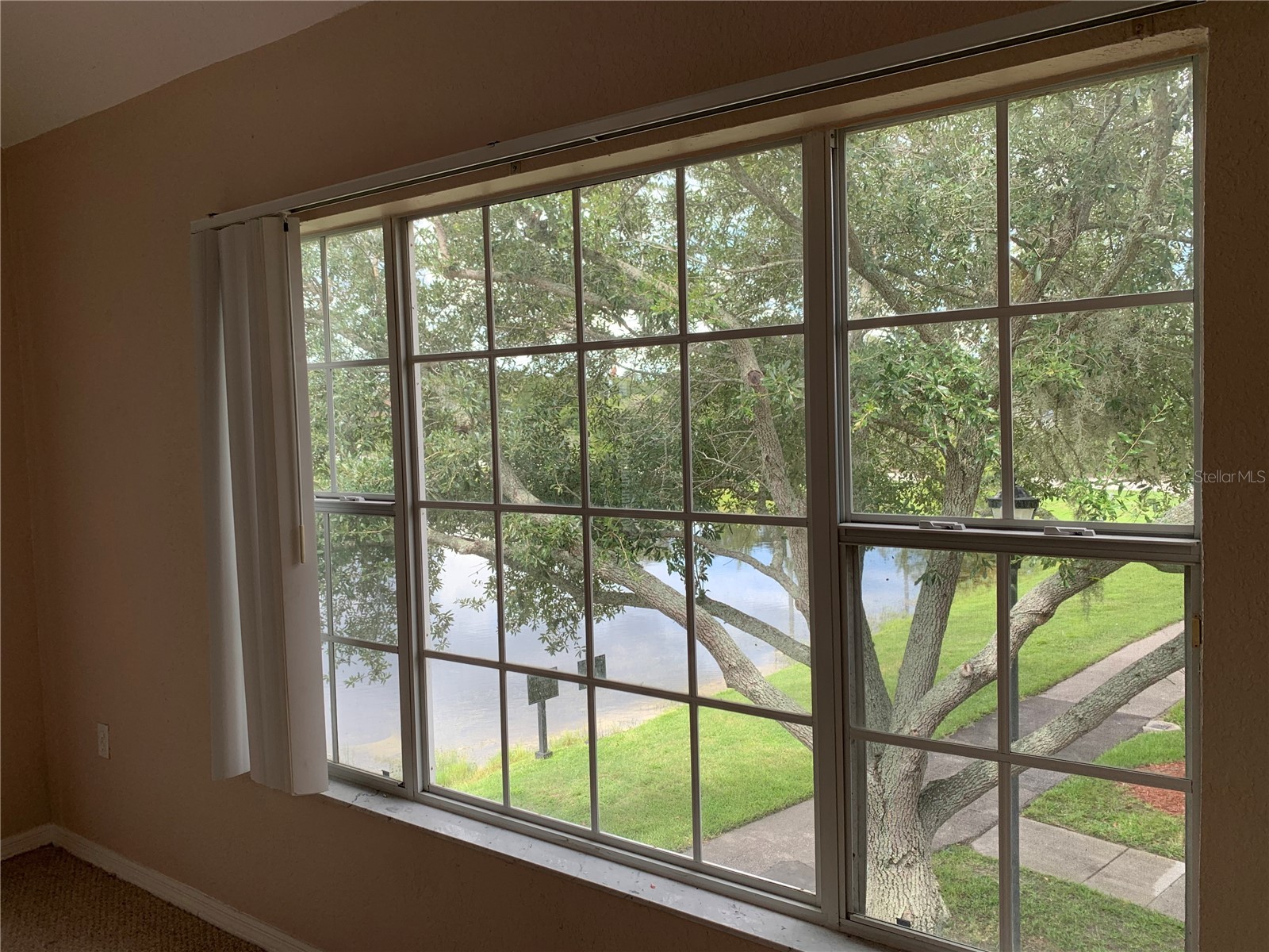 9832 Lake Chase Island Way Tampa FL 33626 TB8504475 image2