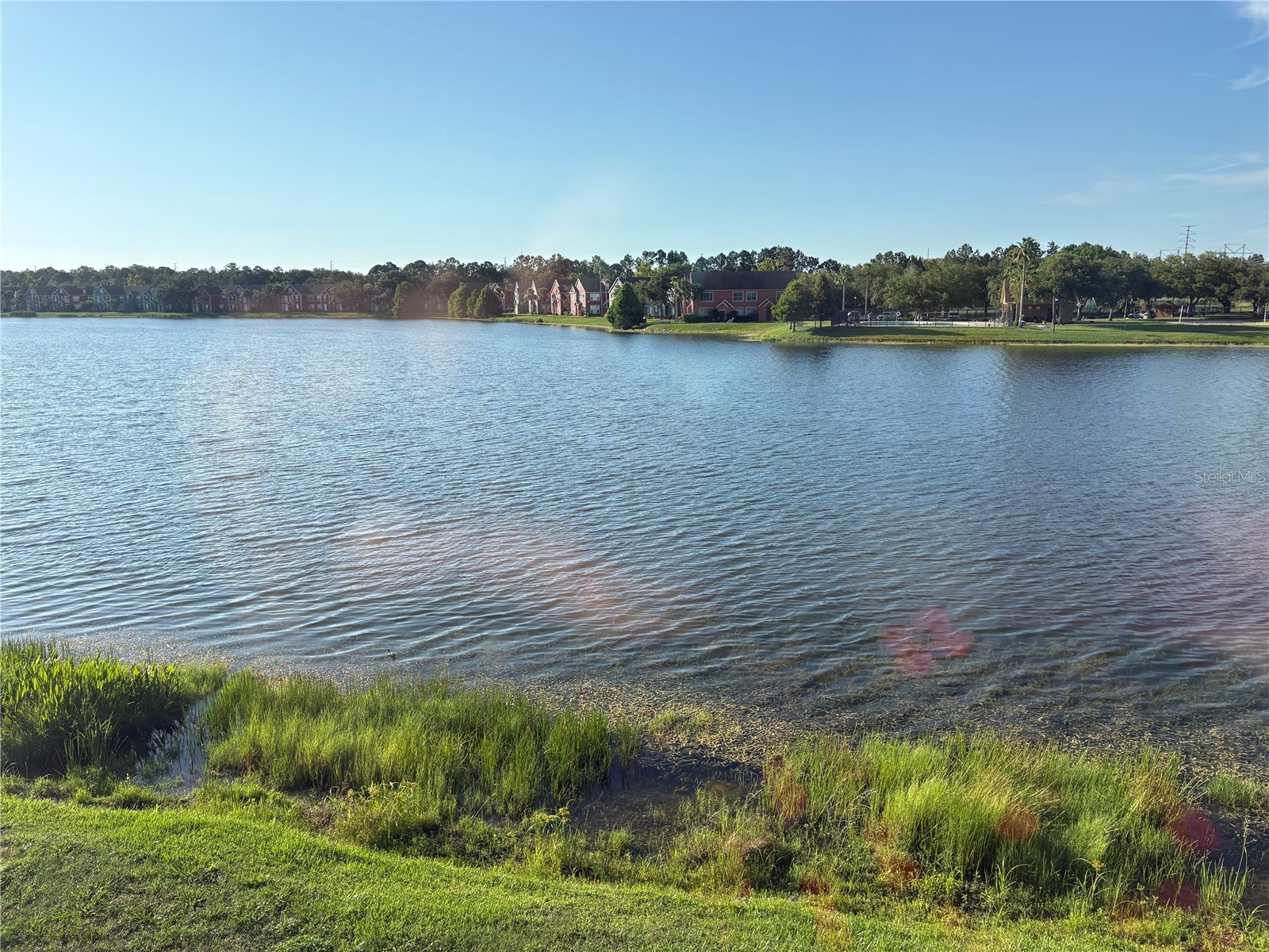9832 Lake Chase Island Way Tampa FL 33626 TB8504475 image23