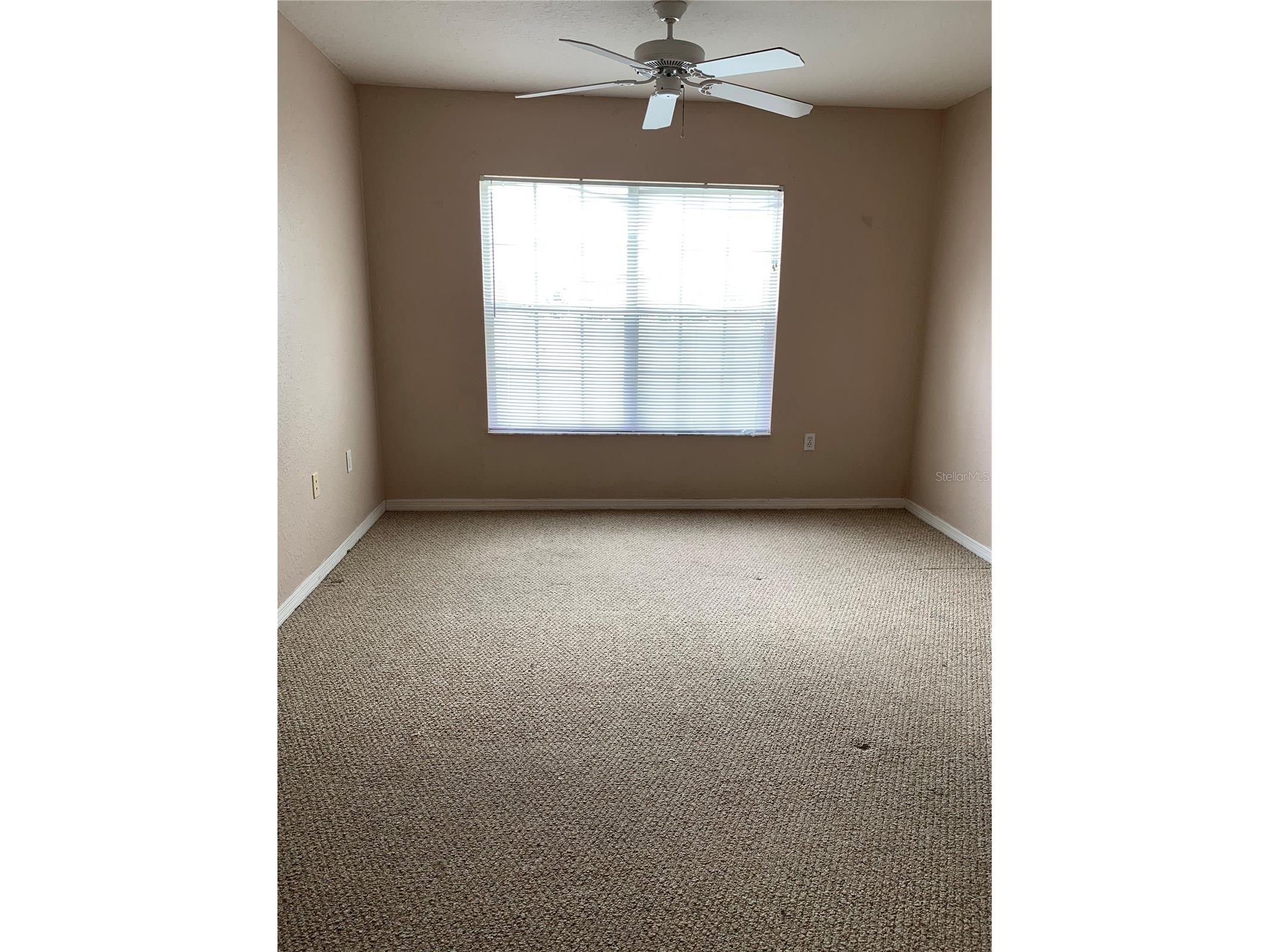 9832 Lake Chase Island Way Tampa FL 33626 TB8504475 image7