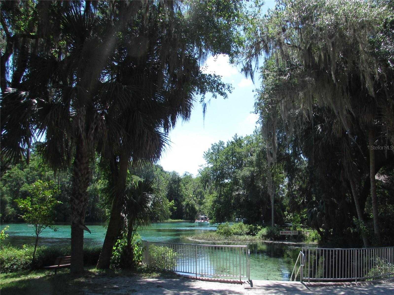 9832 SW 196th Avenue Road Dunnellon FL 34432 - RAINBOW RIVER OM722418 image15