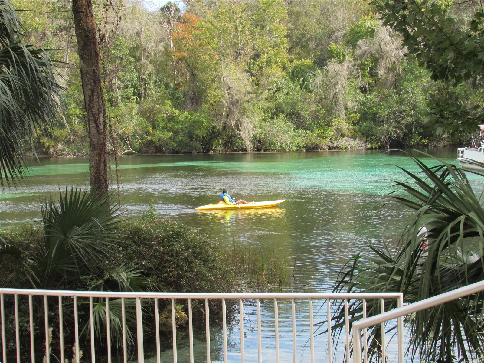 9832 SW 196th Avenue Road Dunnellon FL 34432 - RAINBOW RIVER OM722418 image17