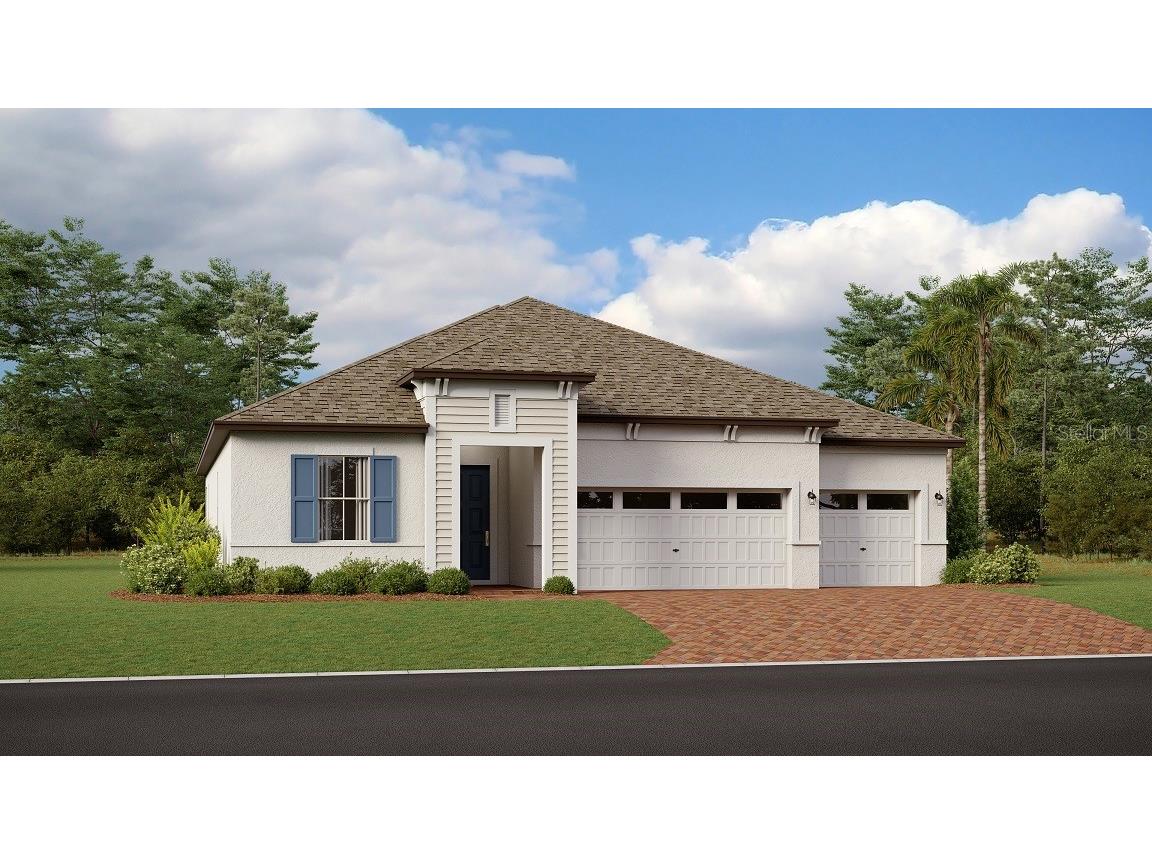 9833 Sword Fern Way Land O Lakes FL 34637 T3464964 image1