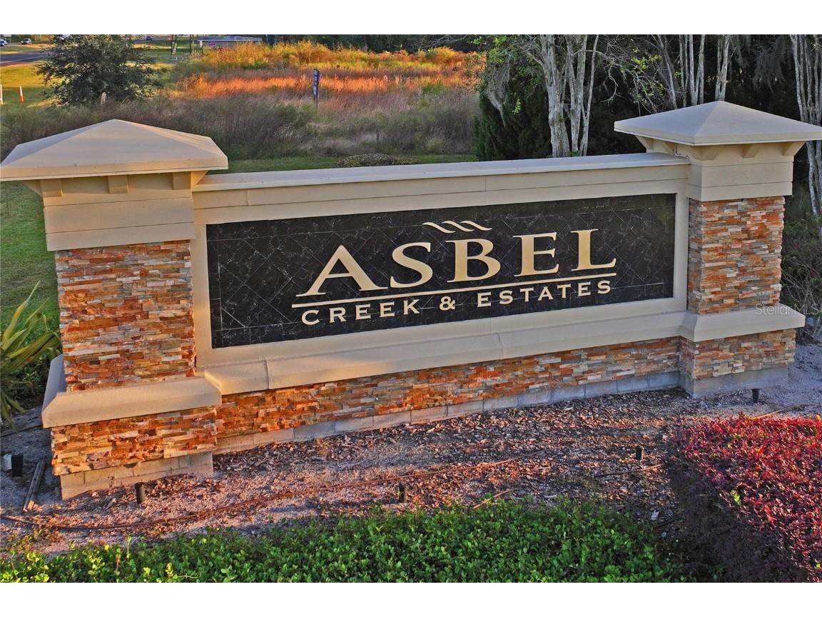 9835 Bowden Mill Court Land O Lakes FL 34638 W7880492 image41