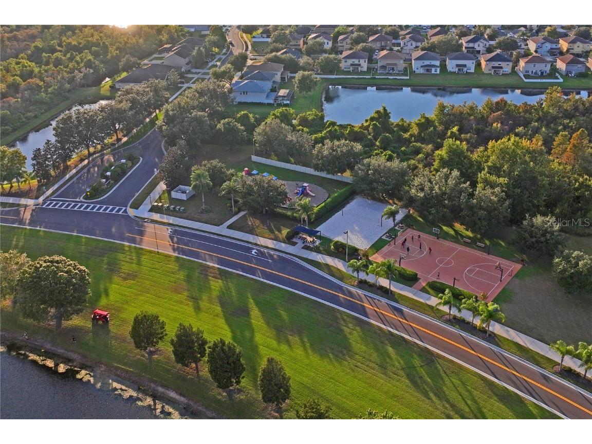 9835 Bowden Mill Court Land O Lakes FL 34638 W7880492 image42