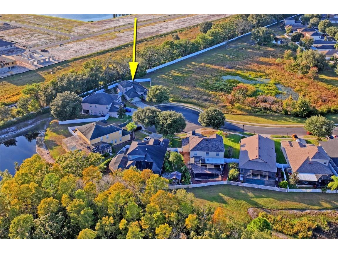 9835 Bowden Mill Court Land O Lakes FL 34638 W7880492 image50