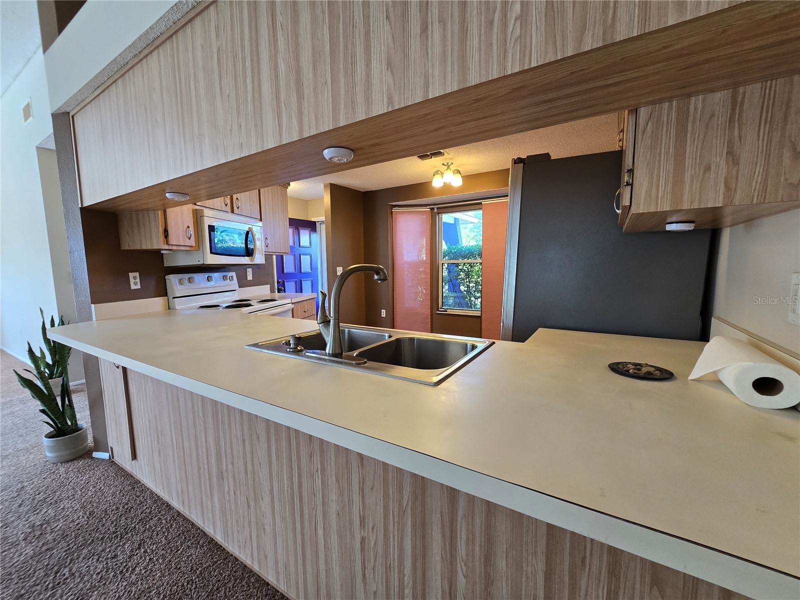 9836 Morehead Lane Port Richey FL 34668 TB8514119 image15
