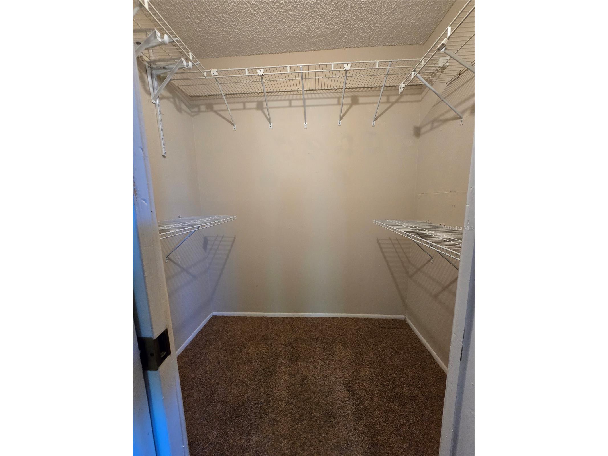 9836 Morehead Lane Port Richey FL 34668 TB8514119 image21