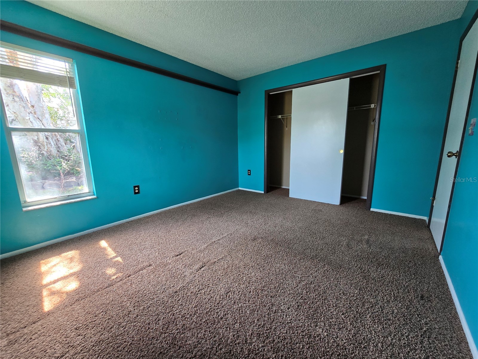 9836 Morehead Lane Port Richey FL 34668 TB8514119 image27