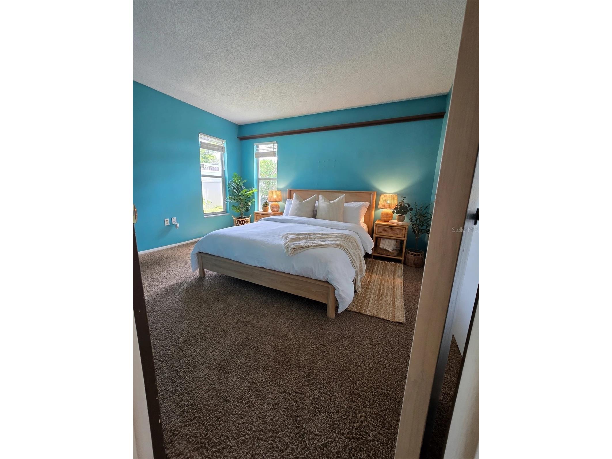 9836 Morehead Lane Port Richey FL 34668 TB8514119 image28