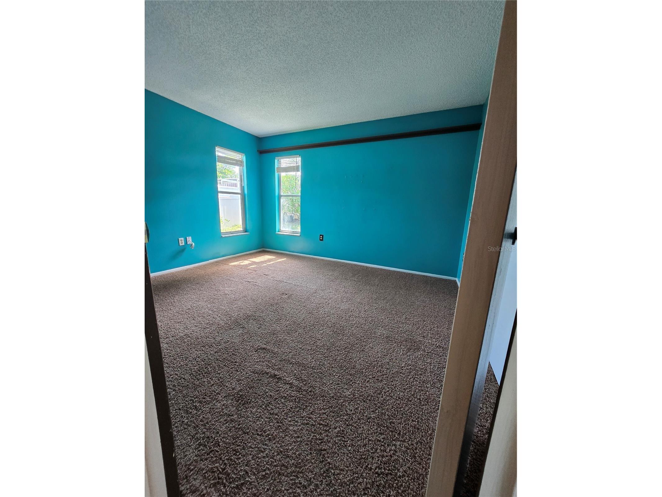 9836 Morehead Lane Port Richey FL 34668 TB8514119 image29