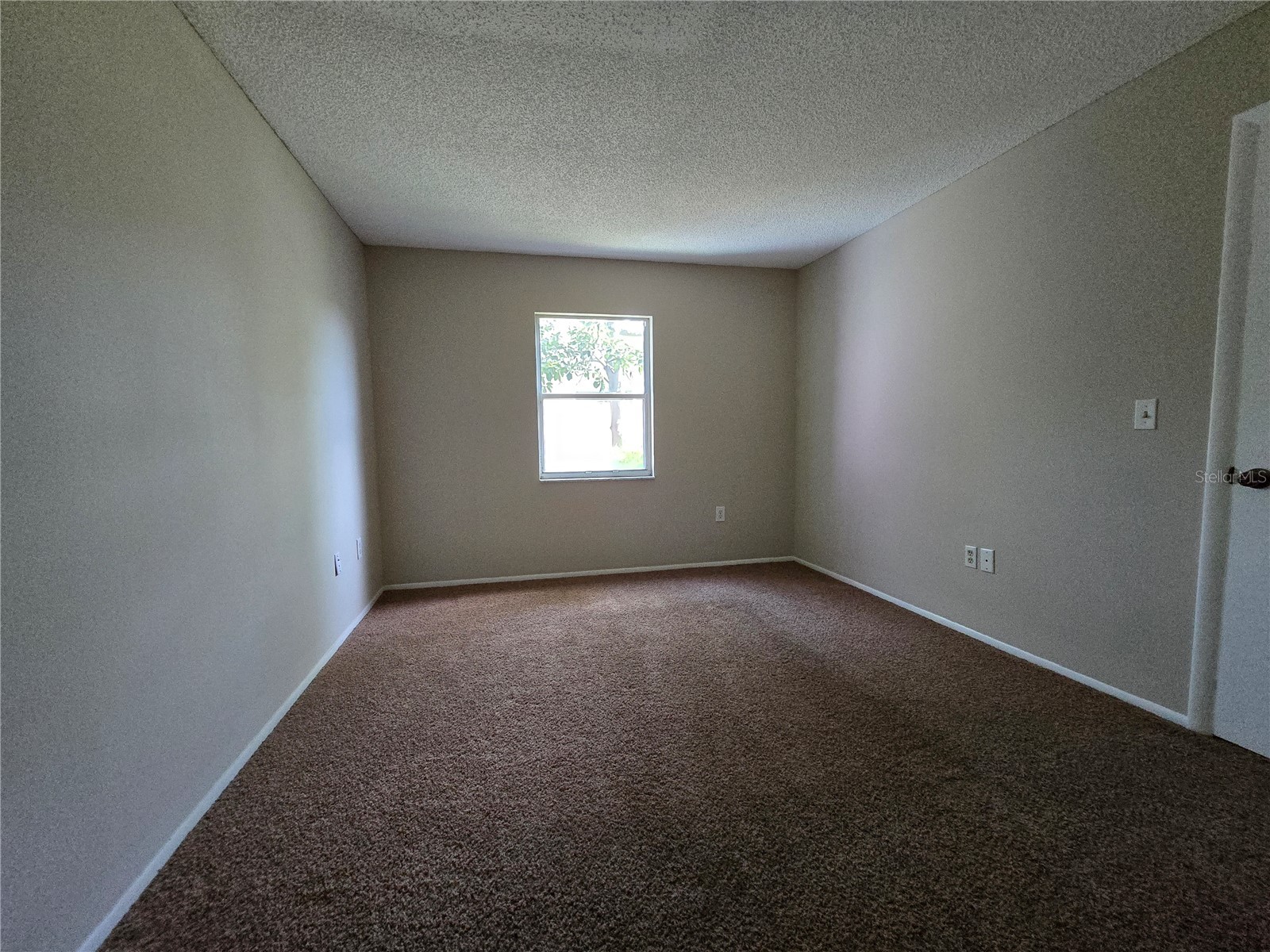 9836 Morehead Lane Port Richey FL 34668 TB8514119 image35