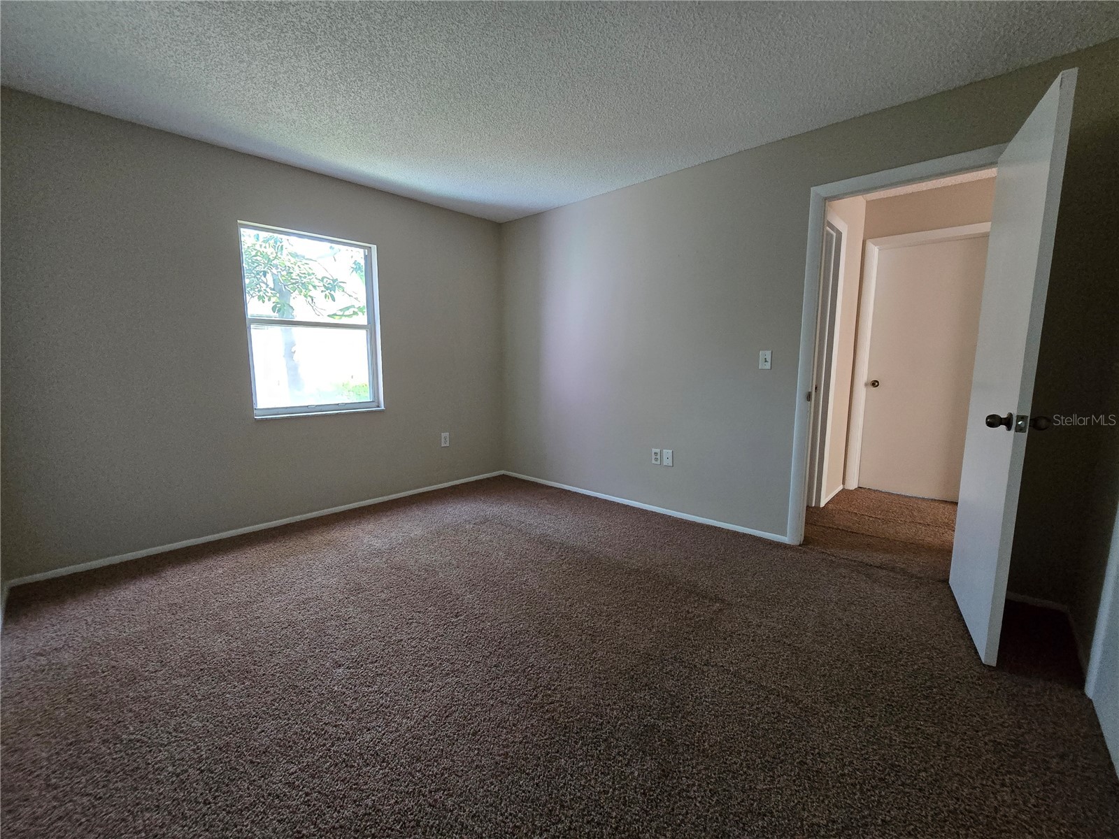 9836 Morehead Lane Port Richey FL 34668 TB8514119 image38
