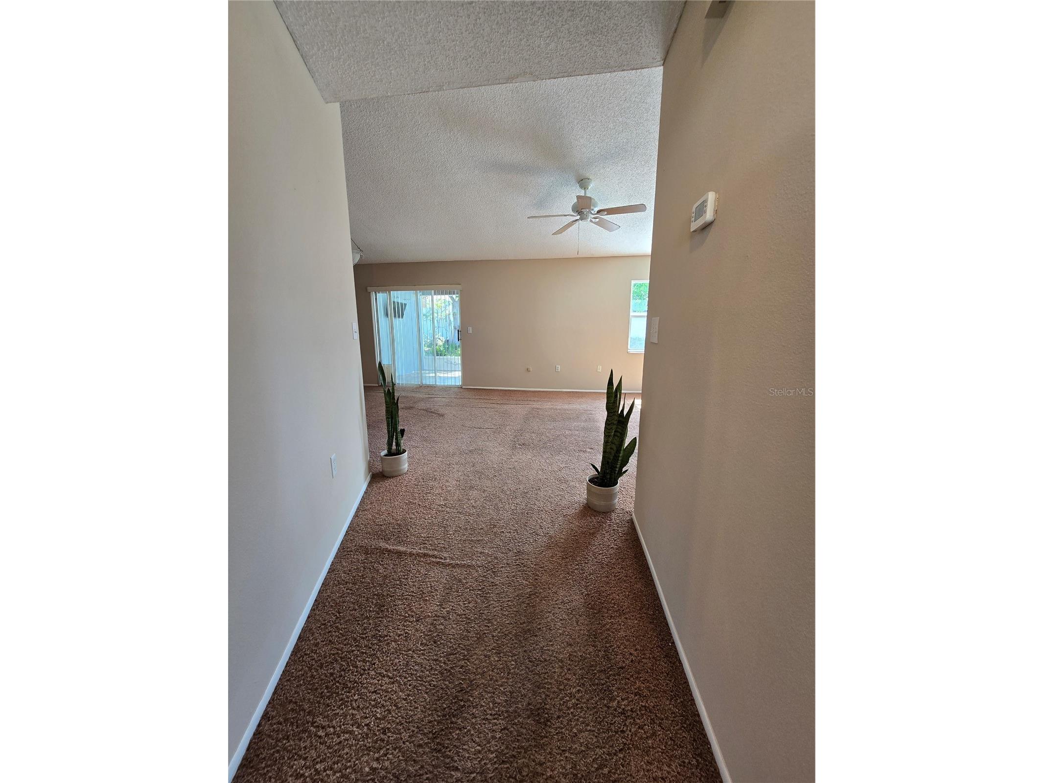 9836 Morehead Lane Port Richey FL 34668 TB8514119 image4