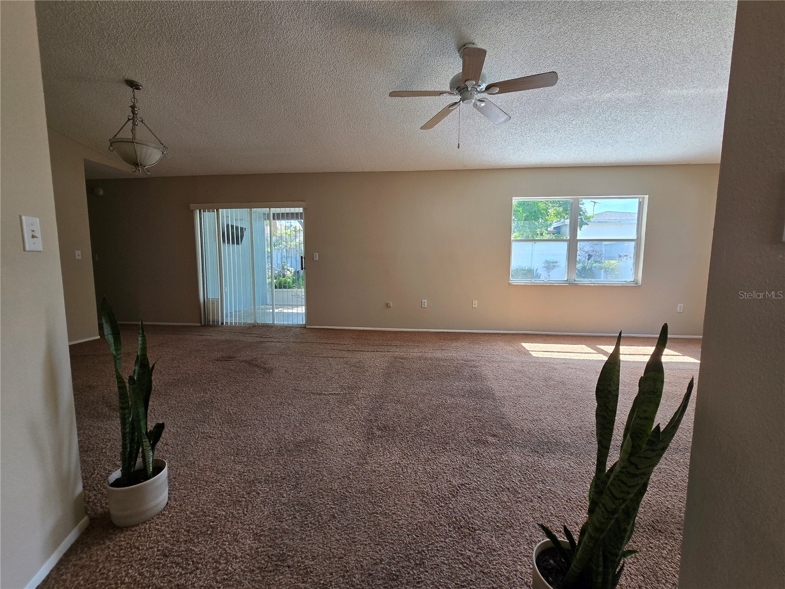 9836 Morehead Lane Port Richey FL 34668 TB8514119 image5