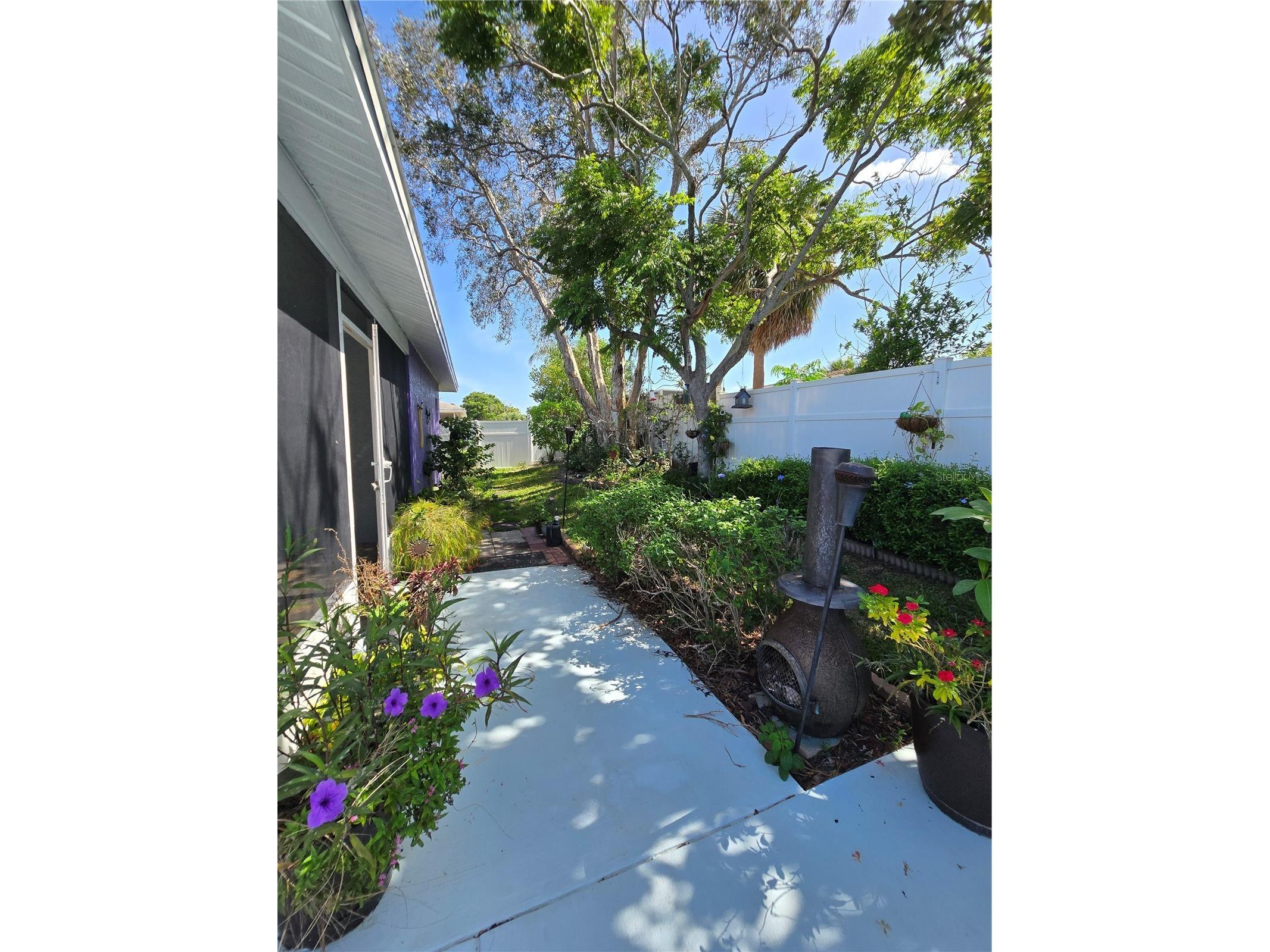 9836 Morehead Lane Port Richey FL 34668 TB8514119 image50