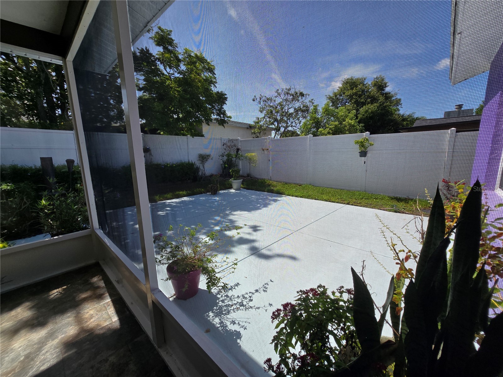 9836 Morehead Lane Port Richey FL 34668 TB8514119 image54