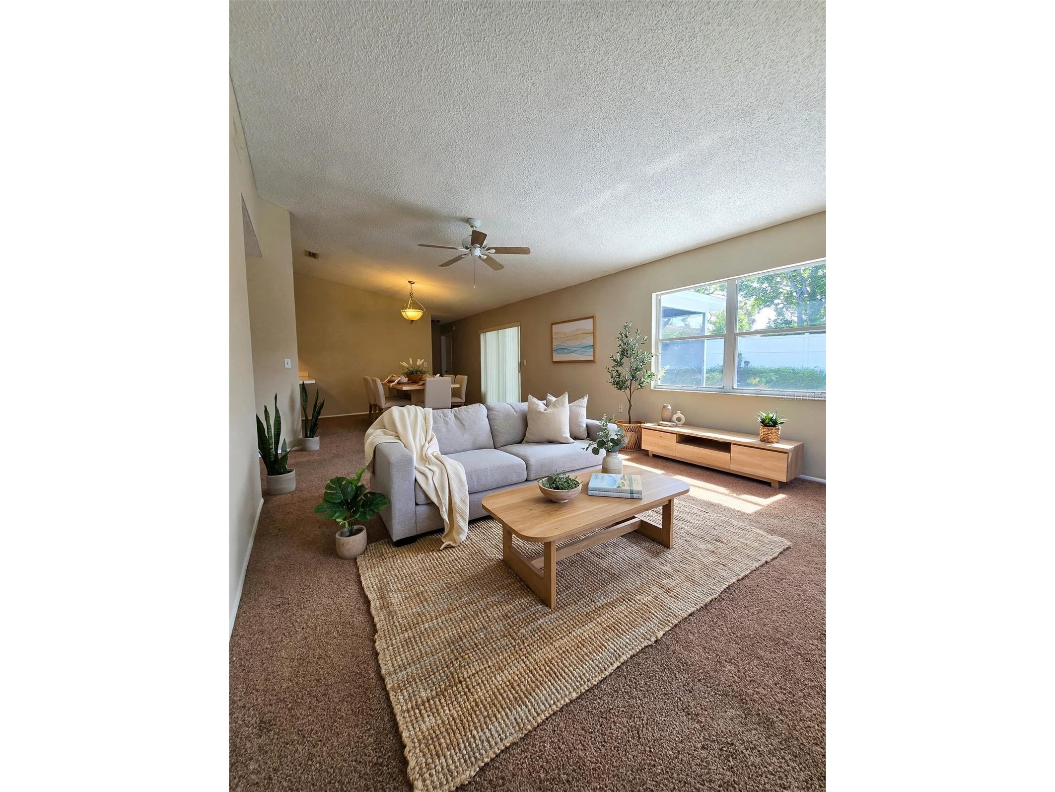 9836 Morehead Lane Port Richey FL 34668 TB8514119 image6