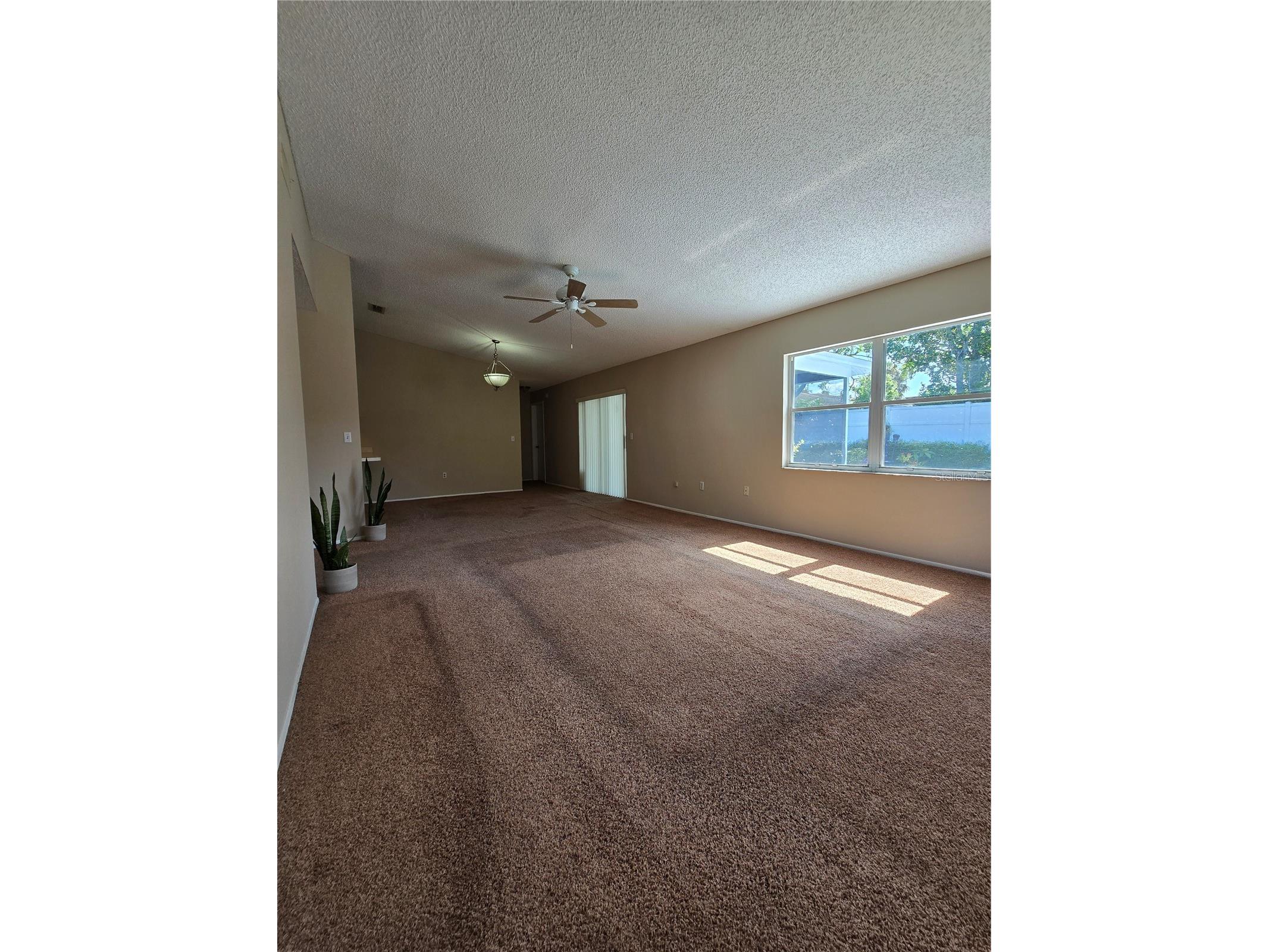 9836 Morehead Lane Port Richey FL 34668 TB8514119 image7