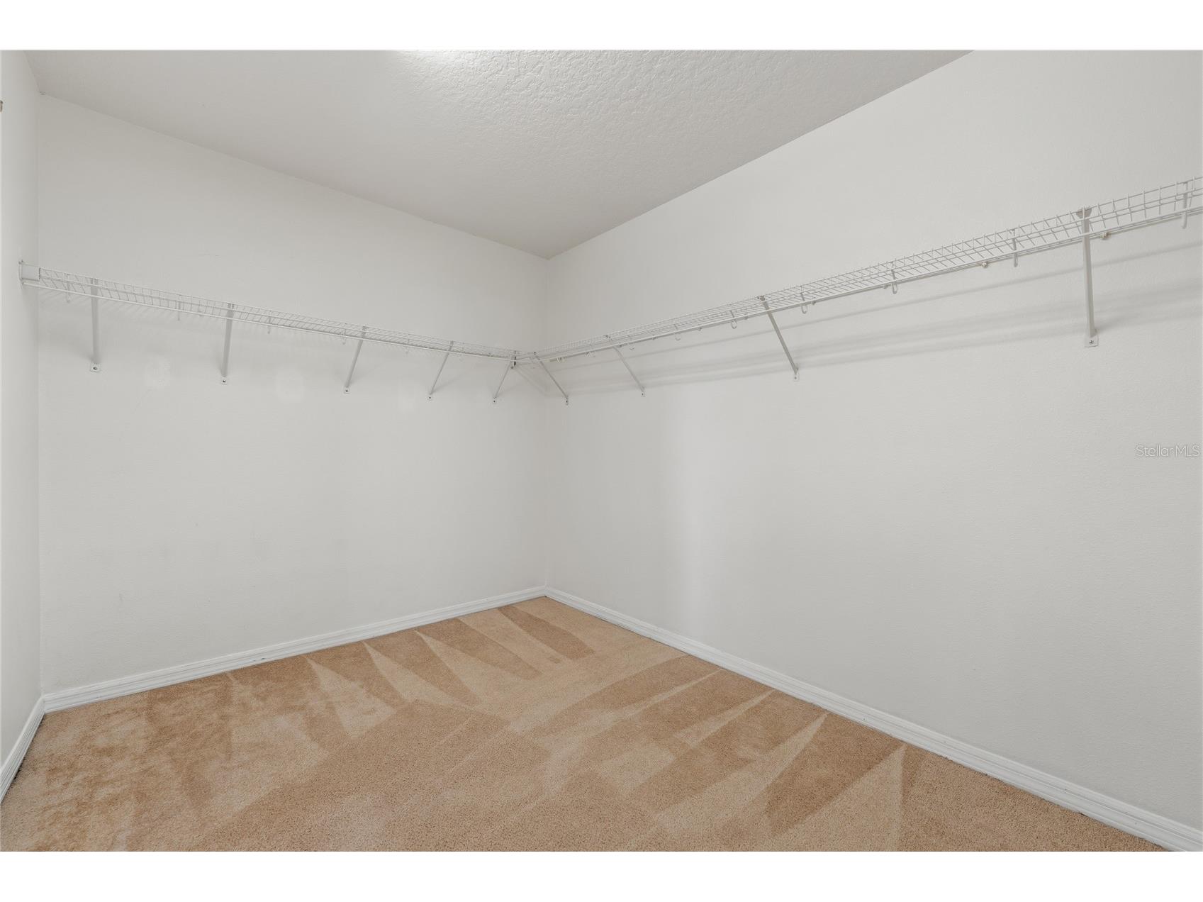 9836 Old Patina Way Orlando FL 32832 O6404905 image19