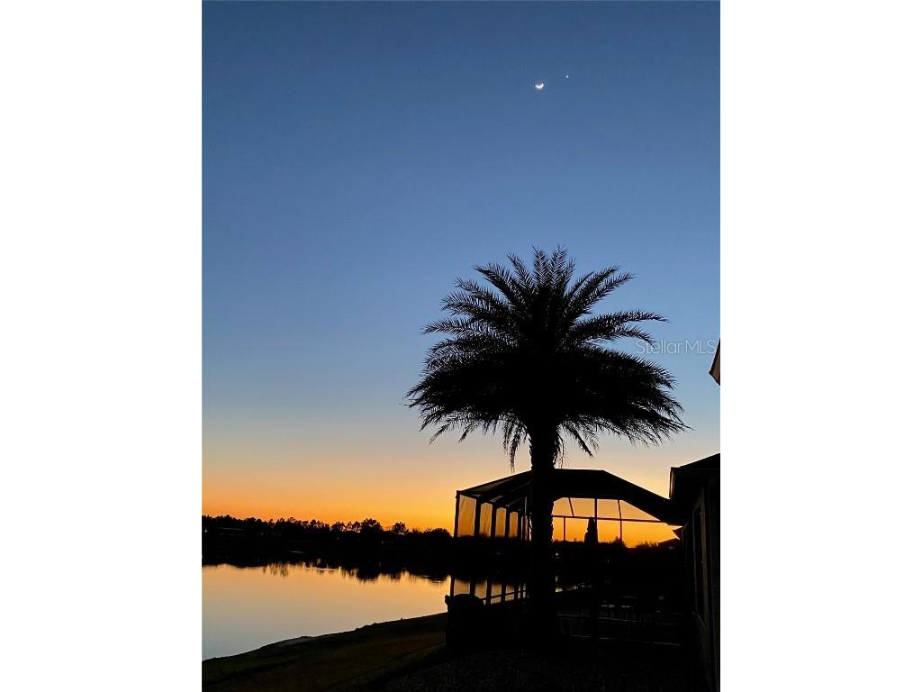 9836 SW 75th Street Road Ocala FL 34481 OM693706 image80