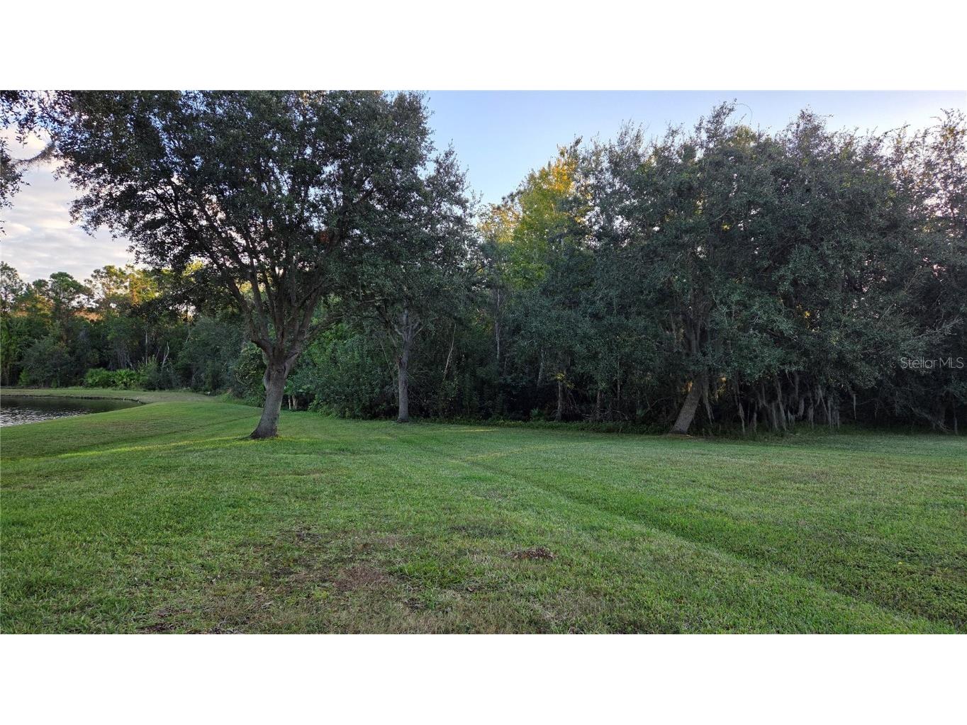 9837 Portofino Drive Orlando FL 32832 S5139992 image15