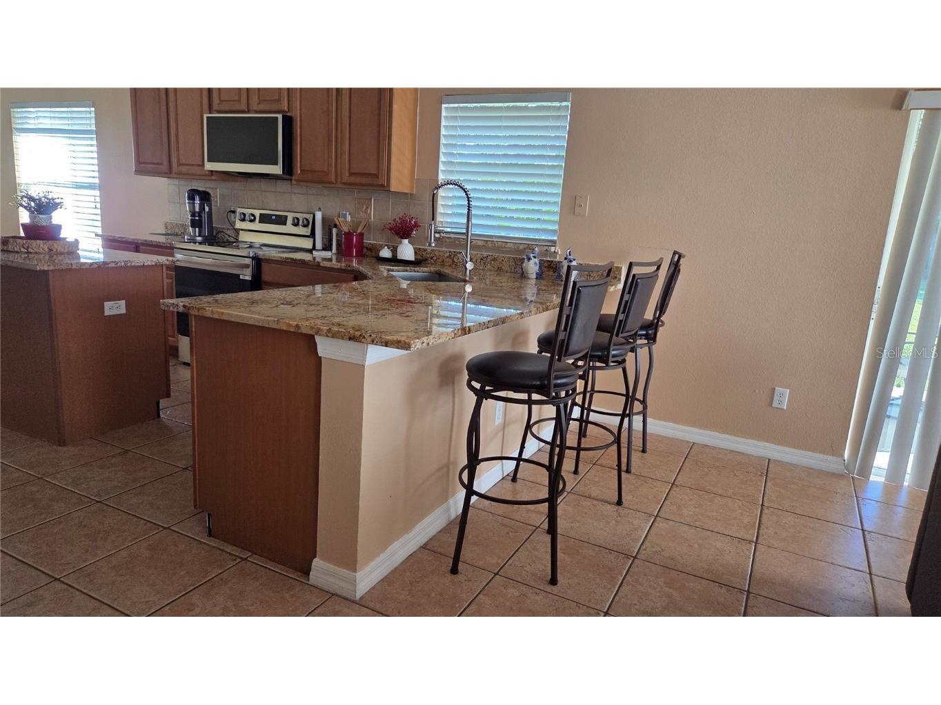 9837 Portofino Drive Orlando FL 32832 S5139992 image4