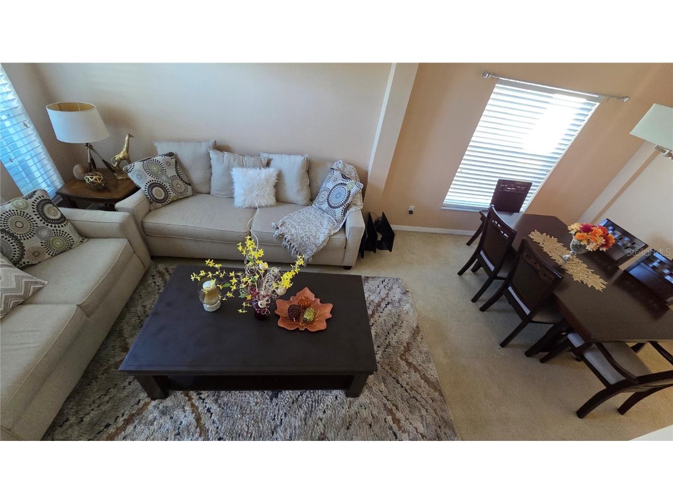 9837 Portofino Drive Orlando FL 32832 S5139992 image7