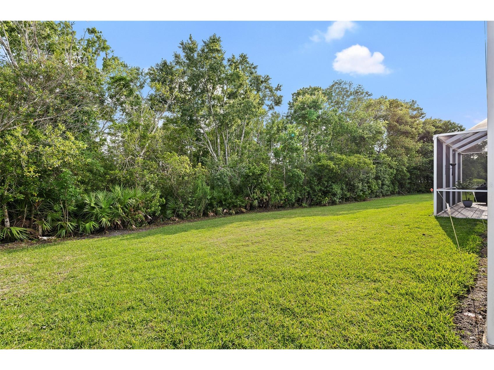 9838 Bridgeton Drive Tampa FL 33626 TB8491227 image34