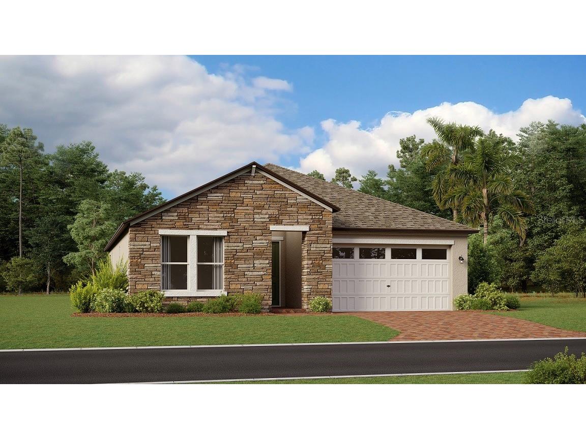 9838 Carabiner Way Land O Lakes FL 34637 T3458462 image1