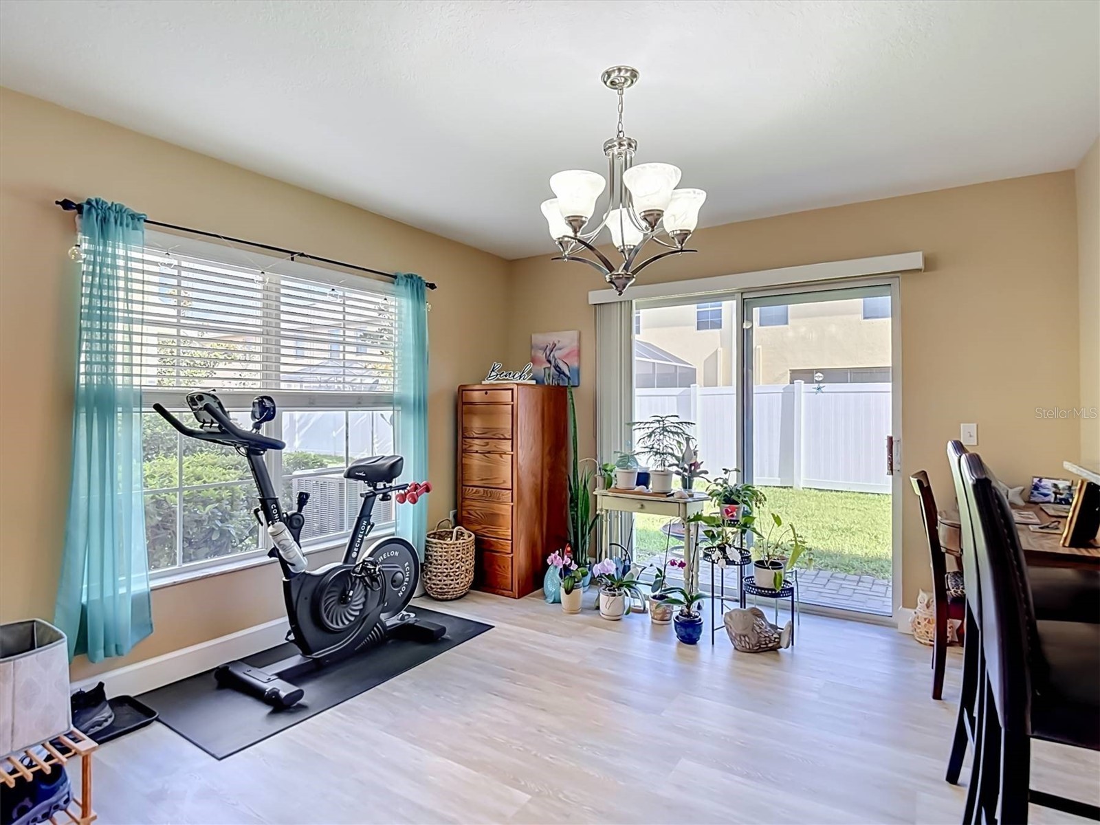 9838 Trumpet Vine Loop Trinity FL 34655 TB8516908 image12