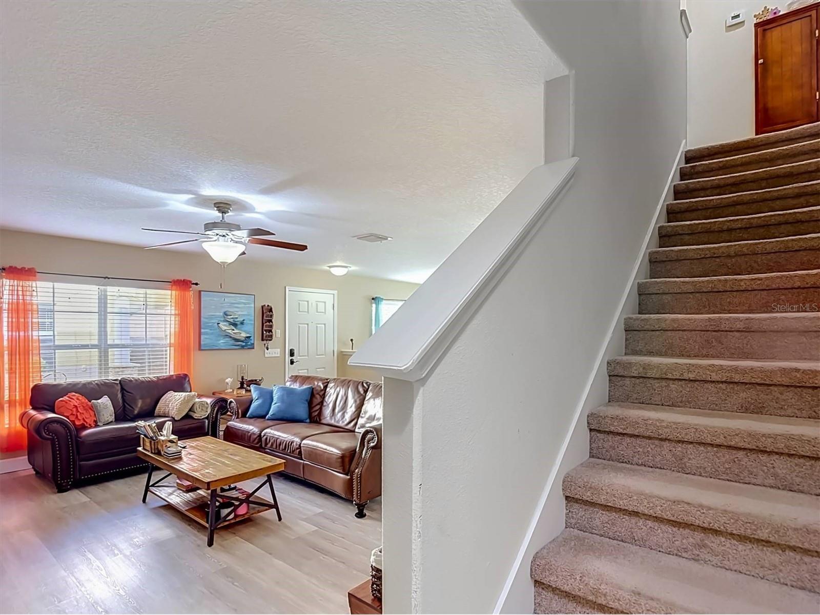 9838 Trumpet Vine Loop Trinity FL 34655 TB8516908 image20