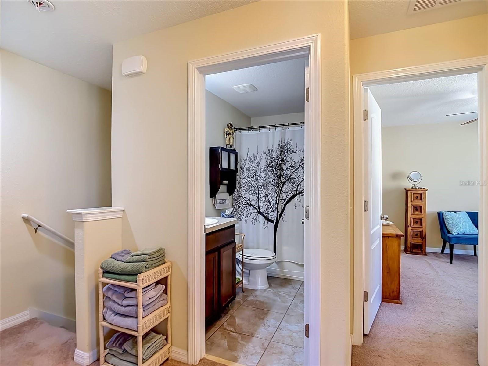 9838 Trumpet Vine Loop Trinity FL 34655 TB8516908 image21