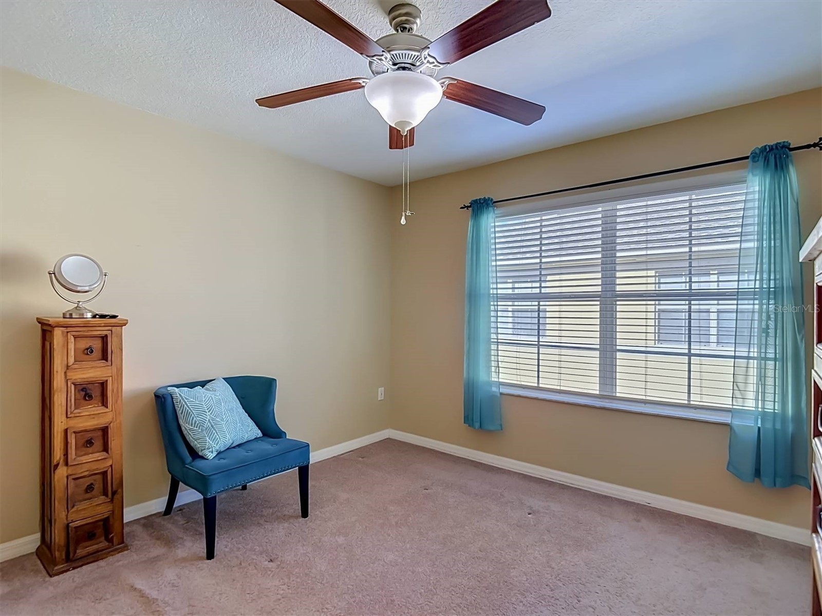 9838 Trumpet Vine Loop Trinity FL 34655 TB8516908 image22