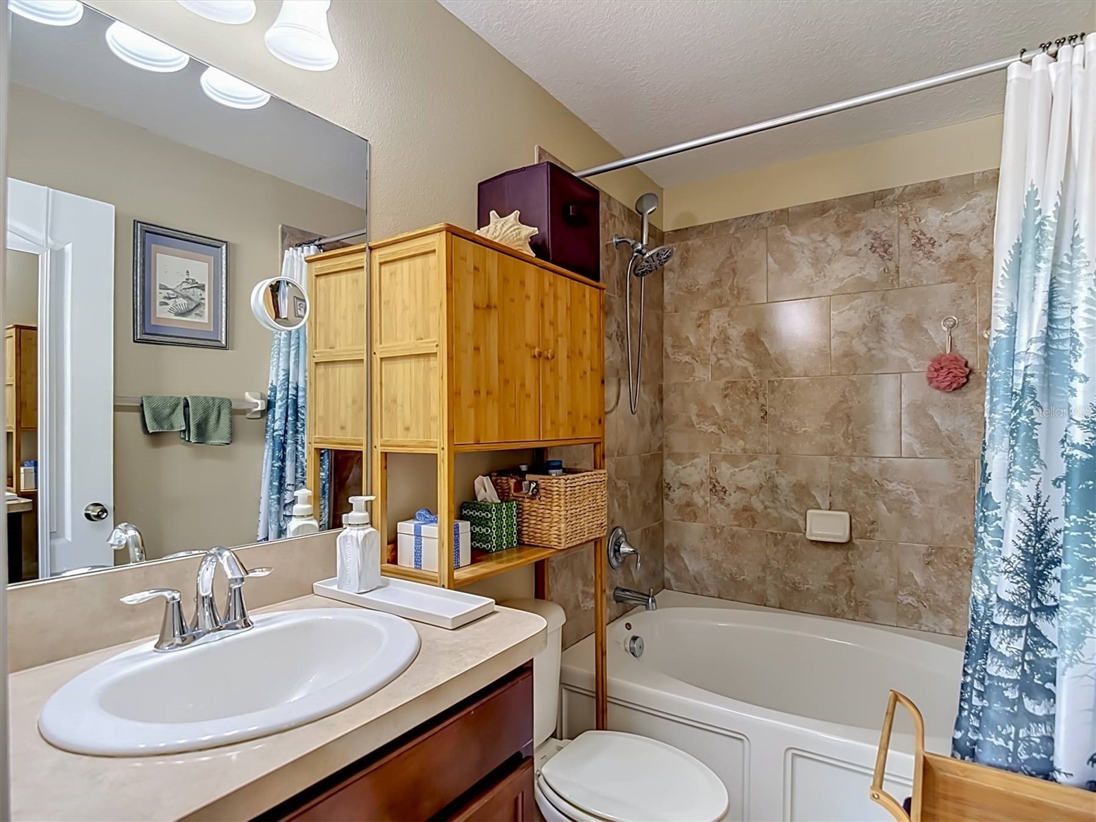 9838 Trumpet Vine Loop Trinity FL 34655 TB8516908 image27