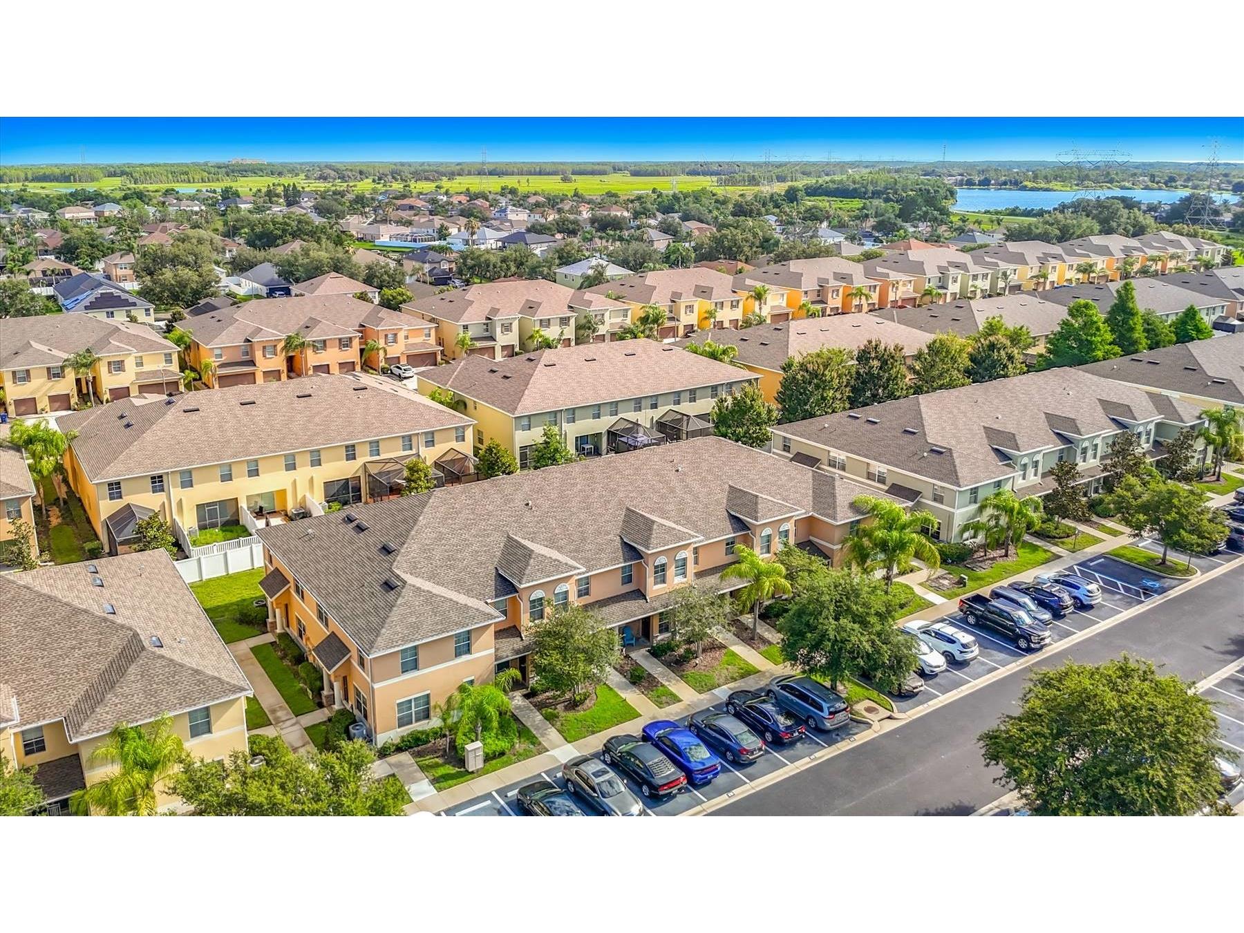 9838 Trumpet Vine Loop Trinity FL 34655 TB8516908 image43