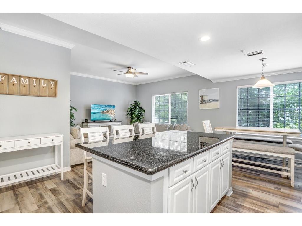 9838 W Park Village Drive #9838 Tampa FL 33626 TB8497683 image11