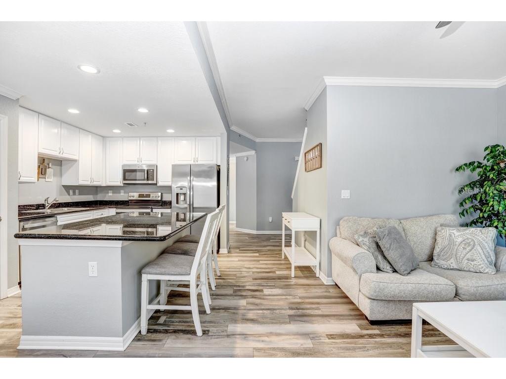 9838 W Park Village Drive #9838 Tampa FL 33626 TB8497683 image14