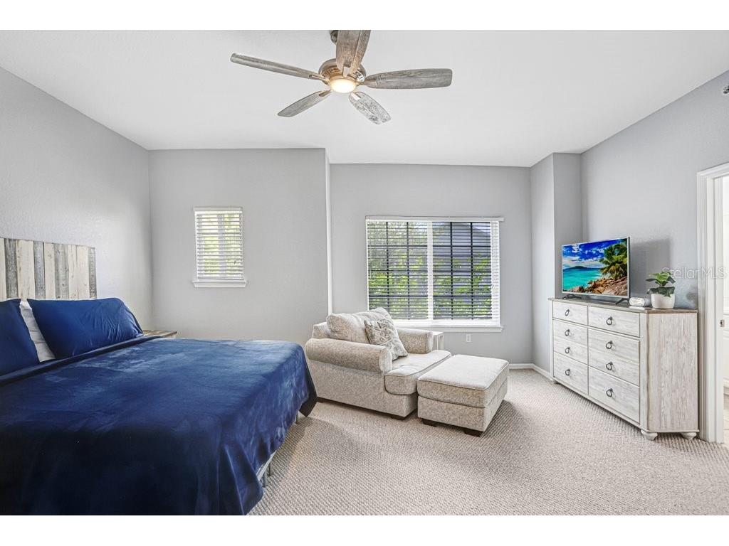 9838 W Park Village Drive #9838 Tampa FL 33626 TB8497683 image22