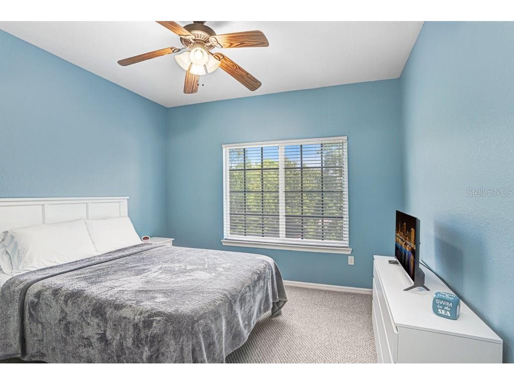 9838 W Park Village Drive #9838 Tampa FL 33626 TB8497683 image27