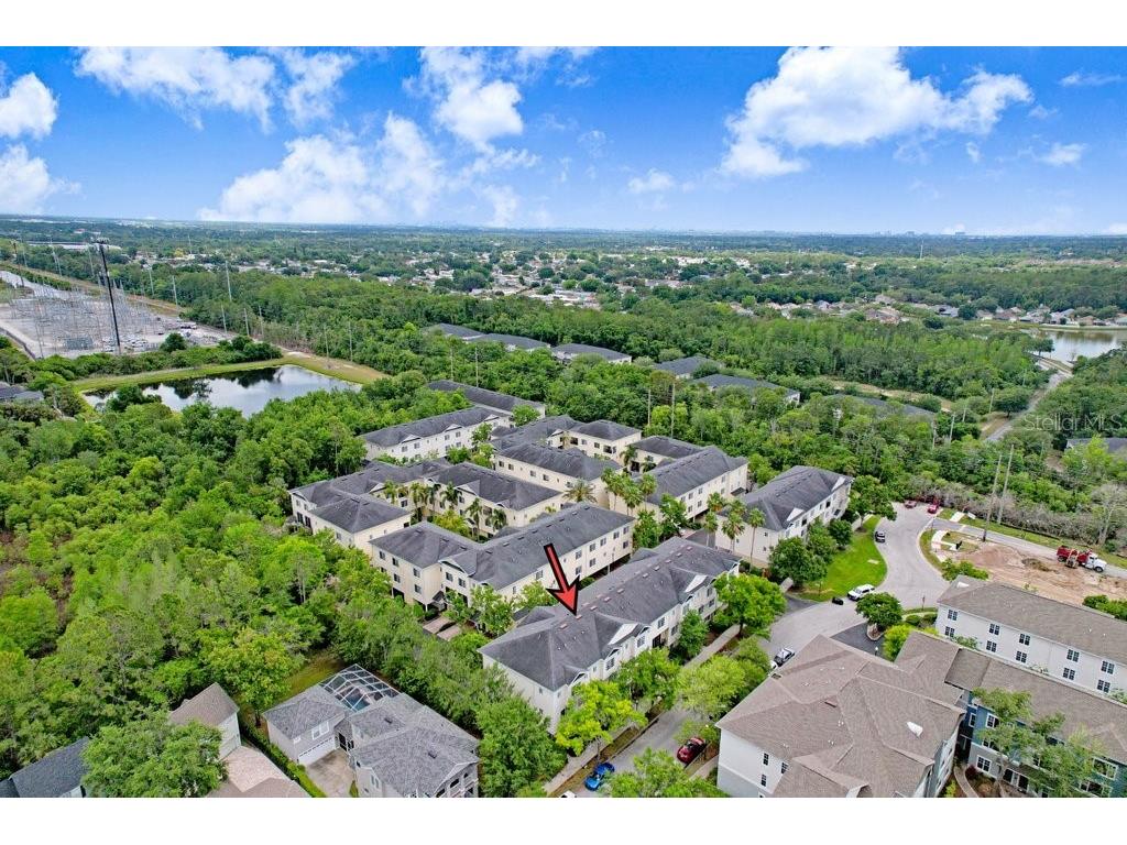 9838 W Park Village Drive #9838 Tampa FL 33626 TB8497683 image35