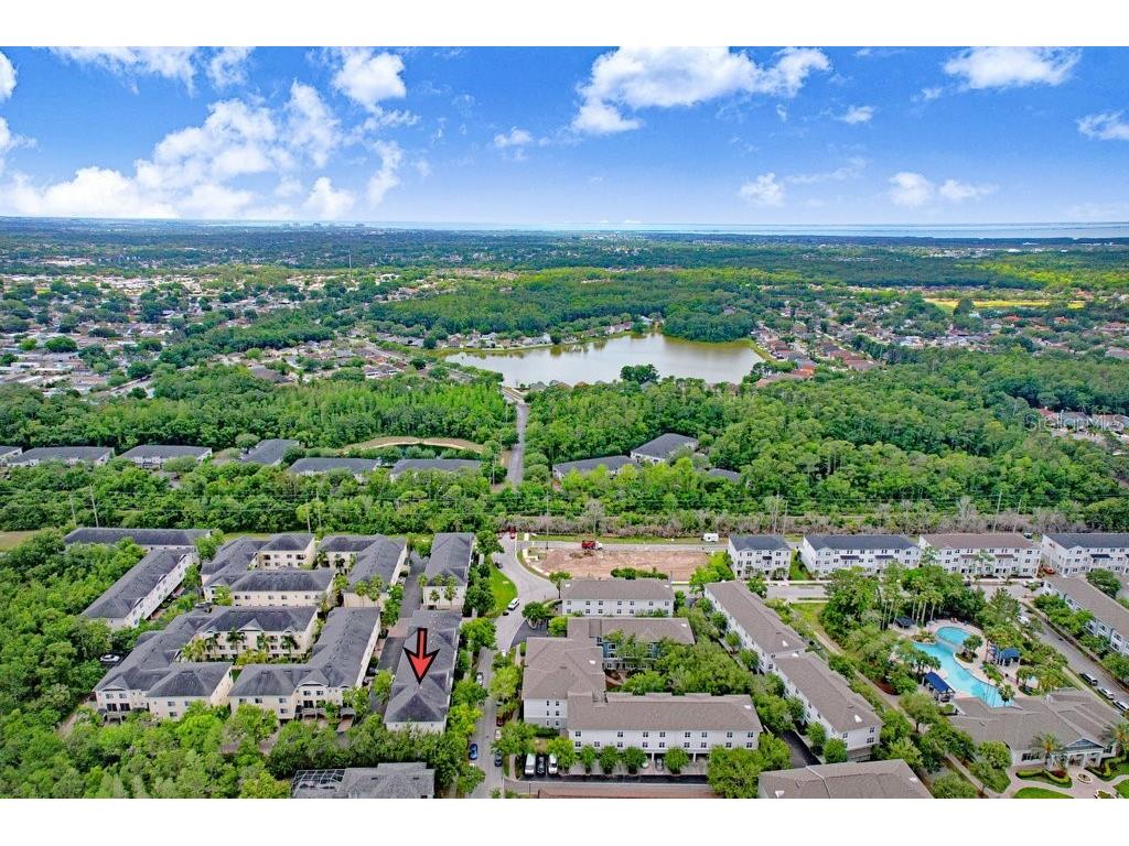 9838 W Park Village Drive #9838 Tampa FL 33626 TB8497683 image36