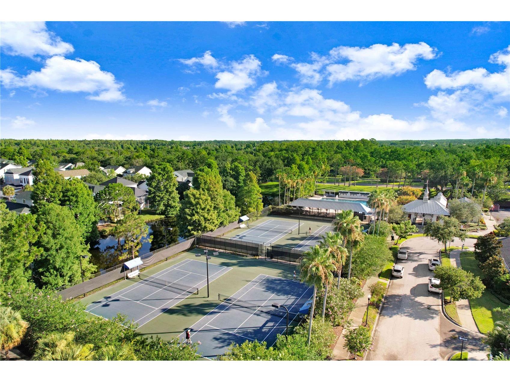 9838 W Park Village Drive #9838 Tampa FL 33626 TB8497683 image49